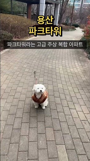 숨겨진 부촌 - 용산 파크타워 아스테리움 시티파크 용산 센트럴파크 국립중앙박물관 동부이촌동 용산공원