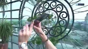 This model turned actress recently made her big screen debut! Who is she? #TheCurrentLifeTeaser | The Current