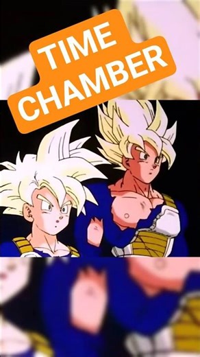 Time to start training in the hyperbolic time chamber! #anime #dbz #goku #training