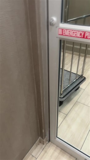 The Importance of Reading: Benefits and Insights