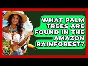 What Palm Trees Are Found In The Amazon Rainforest? - Brazil Travel Expert