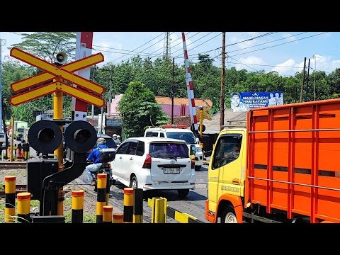 Live One of Busiest Railway Crossing In Indonesia ‼️