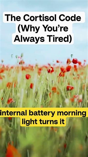 The Cortisol Code (Why You’re Always Tired)#shorts #andrewhuberman