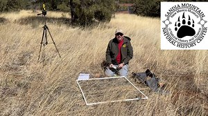Quadrats are one of the tools used by scientists like those at Sandia Mountain Natural History Center to study and monitor the ecosystem, and they are also a great way to take a closer look at nature for kids and adults alike. Come in close to see what can be found in a seemingly sparse patch of ground, from sprouting plants to animal evidence. Learn more about the Sandia Mountain Natural History Center: nmnaturalhistory.org/smnhc | New Mexico Museum of Natural History & Science | Facebook