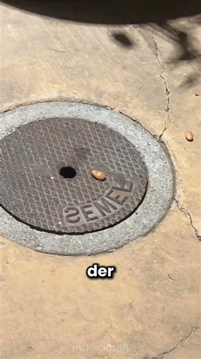 Damit haben sie definitiv nicht gerechnet 🤯✨
