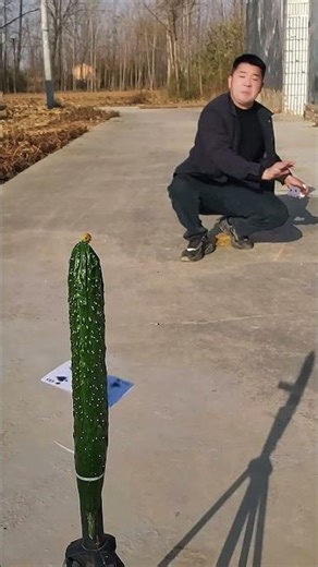 💥Flying card unique skills incredible trend life growth star ✨ #trickshot #cardthrowing #viralvideo