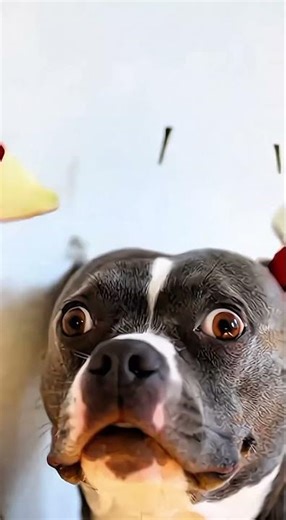 The Dapper Archer: A Paws-itive Aim! 🏹🐶 #memes #comedy #animals #animation