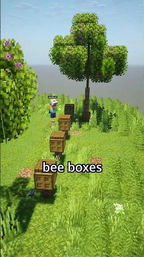 How To Build an Apiary
