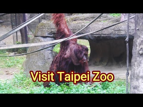 Zoo | Visit Taipei Zoo | 動物園 | 台北市立動物園參觀