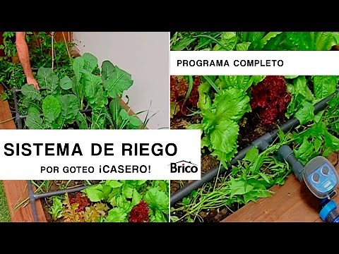 How to make a DRIP IRRIGATION SYSTEM 💧​🌱​ Homemade and automatic ​👨‍🌾​ ​ Bricomania
