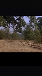 1.3K views | Top Secret 1984 | Smart Channel | Facebook