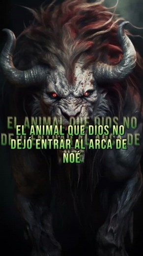 arca de noe. #arca #biblia #diluviouniversal #arcadenoe #misterios #terror #viral #fy #diluvio #noe