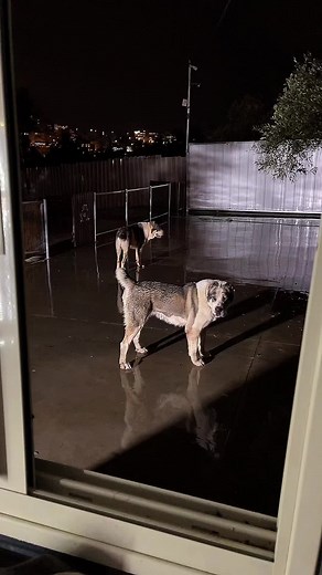 ‏الحمدلله 🙏