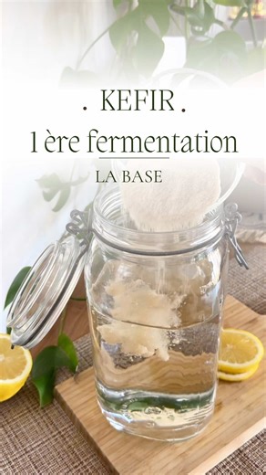 Première fermentation du kéfir 🔽 – la base indispensable Le kéfir est une boisson naturellement fermentée, riche en probiotiques, qui soutient la digestion, équilibre le microbiote et participe au bien-être intestinal. Il est aussi apprécié pour son côté rafraîchissant, peu sucré après fermentation, et sa composition simple, sans additifs ni conservateurs. En hiver c’est un super allié surtout pour se remettre des fêtes et soulager sa flore intestinale . ▶️Ingrédients : \t•\t30 g de grains de k