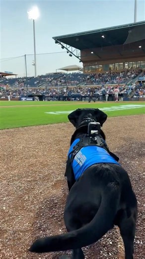 He's So Locked In! 😂