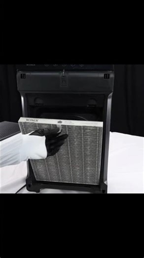 How to replace Winix 5510/5520 Filter #shorts