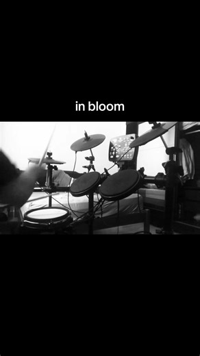 nirvana - in bloom (drum cover)