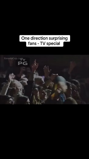 One Direction Surprising Fans TV Special