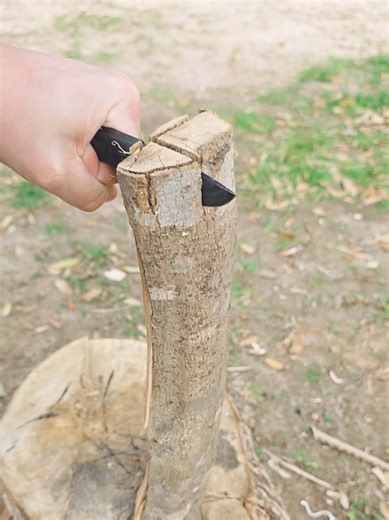 Kizer Smolt Knife Test: Durability and Performance