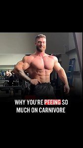 Why You’re Peeing So Much on Carnivore (And What It Really Means). 👇 Drop a comment if you think this needs more attention | Animaldocfilm