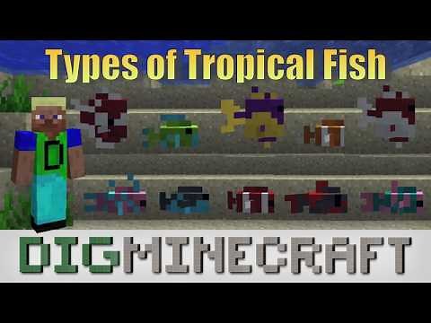 Types of Tropical Fish in Minecraft Aquatic Update