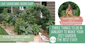 Everyone can learn to garden like this-and 'everyone' includes YOU. If you've been on the fence about starting a garden in 2021, I'm hosting a FREE LIVE WORKSHOP on January 12 and 14 that you don't want to miss. Whether you started a Quarantine Garden that disappointed, you're ready to take your garden goals to the next level, or you've never kept a plant alive, there's something in this class for you. In this one hour workshop, I'll lead you through THREE TASKS you should do this month to jumps