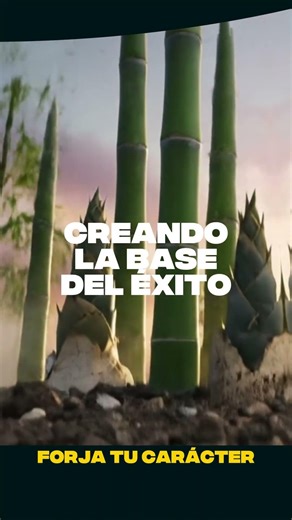 Forja tu carácter - El bambú japonés