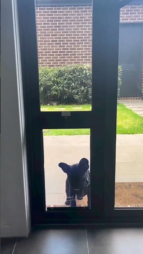 Patio Pet Door for sliding doors. Perfect for your dog!