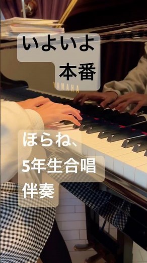 ほらね、 5年生合唱 伴奏練習 #ピアノ #児童合唱 #piano #混声合唱 作曲者：: 松下 耕: Matsushita，Kou. 作詞者：: 伊東恵司