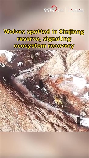 8.5K views · 97 reactions | Fresh snowfall in the Tianshan Mountains...