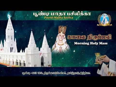 🔴Live | Holy Mass |23.04.2026 | Fr. Ruban Antoniraj, Vice Rector| Madha Pond Basilica