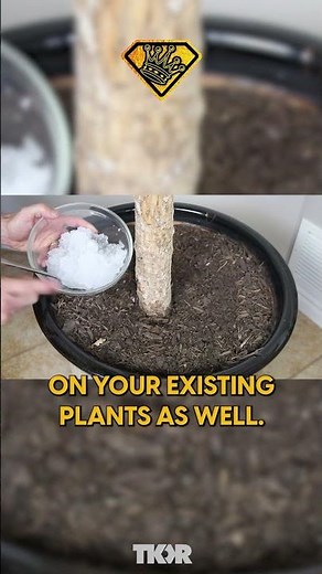 🌿🚀 Turn Diapers into Plant Savers! DIY Hydrogel Trick for Lush, Healthy Gardens! 💦