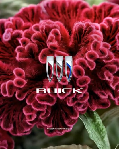 Spacious and luxurious. The 2026 Buick Envision delivers refined comfort without compromising versatility. | Buick