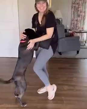 Walk on Clouds – Try These Ultra-Comfortable Thick Sole Flip Flops!