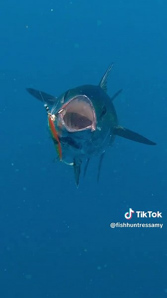Scary Fish Encounter with Huntress Amy