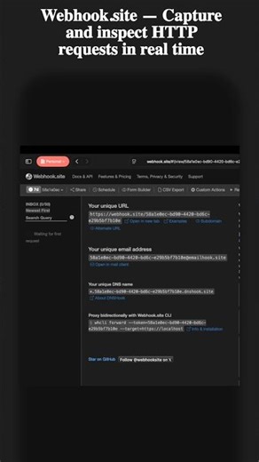 Webhook.site: Capture SSRF & Blind XSS Callback #ethicalhackingcourse #vinodahirwar