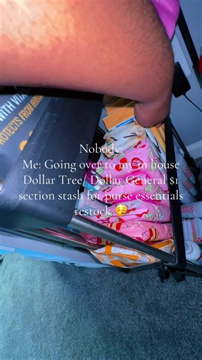 Restock Your Purse with Dollar Tree Essentials