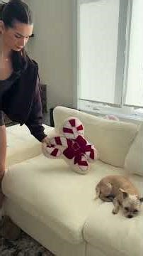 resetting my home for 2026 🎄🎇 #cleanwithme #homeorganization