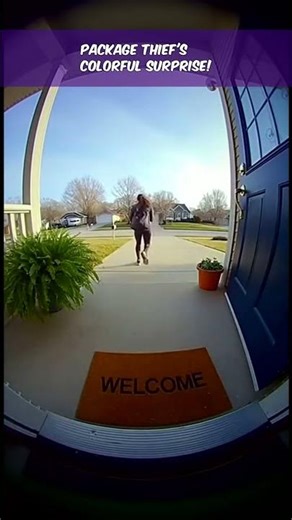 Package Thief's Colorful Surprise!