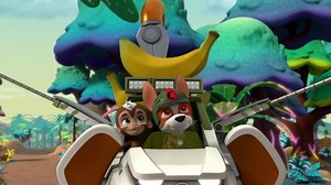 34K views · 643 reactions | PAW Patrol explores the jungle for their mission today, and Ryder has set them up with awesome new animal vehicles and gadgets!   Keep up with the latest PAW news!  Follow us here: Facebook - https://www.facebook.com/PAWPatrolPH #PAWPatrol #PAWPatrolPH #JunglePups #NickJr | PAW Patrol Philippines | Facebook