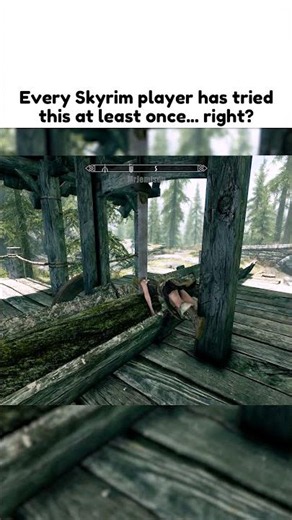 Every Skyrim Player has Tried This at Least Once... Right? - Skyrim