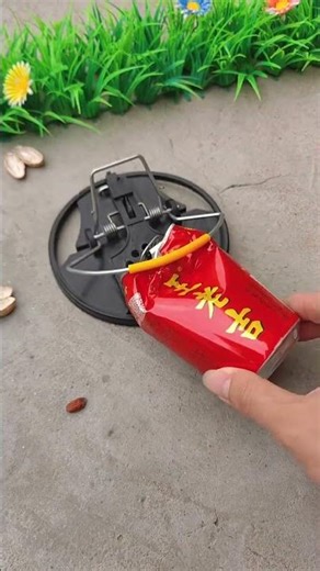 Smart Mouse Trap - Catch Rodents in Seconds