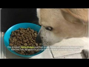 Review - Chicken Soup for the Soul Adult Dry Dog Food - Chicken, Turkey & Brown Rice Recipe