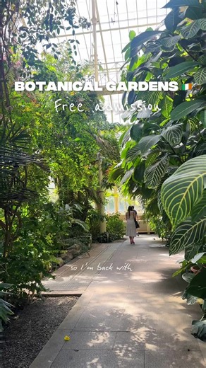 Exploring the Beautiful National Botanical Gardens in Dublin