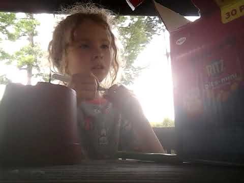 Making a Chipmunk House