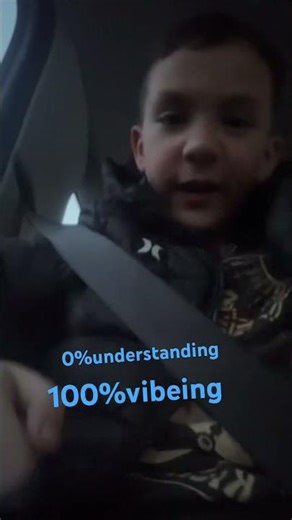 0%understing 100%vibes