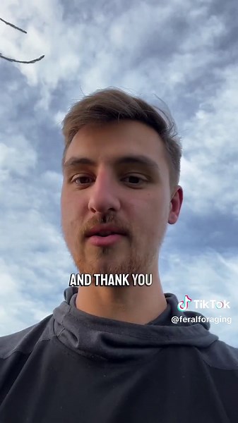 Feral Foraging on TikTok