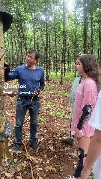 Vietnam Rubber Trees: A Sad History | Vietnam Adventure Tours