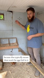 85K views · 8.7K reactions | A tip for when you find a chicken sleeping in a nesting box! Does it work? #backyardchickens #homestead #homesteader #foilhatgang #selfsufficient #chickencoop #roostingbar | B&R Homestead | Facebook