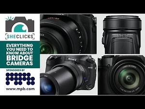 Everything you need to know about bridge cameras
